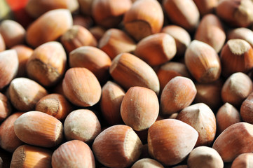 heap of hazelnuts