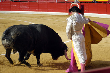 Corrida de toros 053