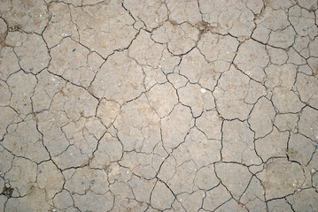 Cracked earth