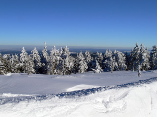 Fototapeta na wymiar Märchenlandschaft im Winter