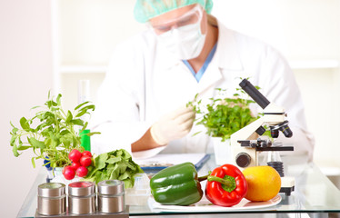 Researcher with GMO plants  in the laboratory