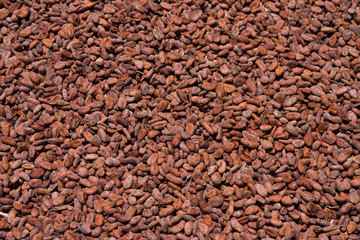 Cocoa beans from Madagascar
