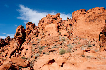 Red rocks in valley of fire nevada
