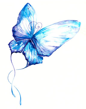 Butterfly watercolor painted.