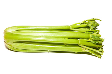 Celery Stalk on White