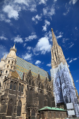 Naklejka premium St. Stephan cathedral in Vienna