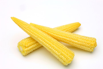 young corn