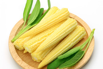 young corn