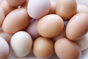 chicken eggs
