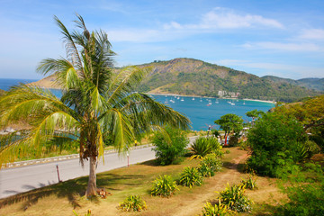 coastline of the island in the south sea