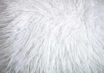 white fur