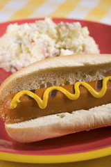 Vegan Hot Dog and Potato Salad