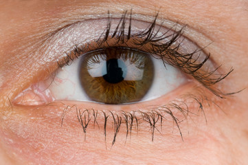 Closeup of an eye