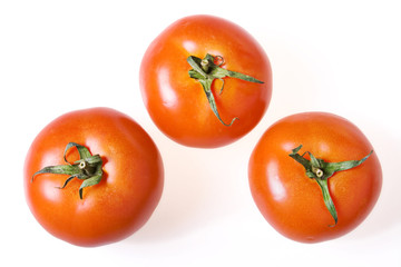 Tomatoes isolated on white background.