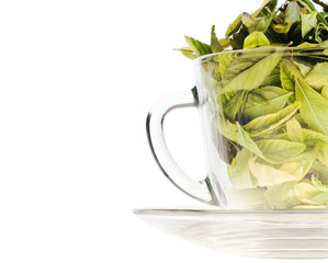 Leaves in cup.