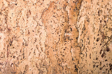 texture of the cork material