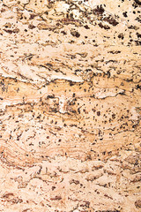 texture of the cork material
