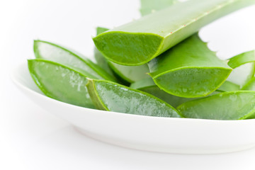 Obraz premium Coupe d'Aloe Vera