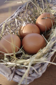 Jajka w wiklinowym koszyku na sianie