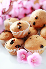 muffins