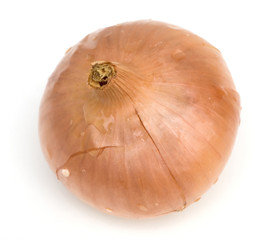 onion