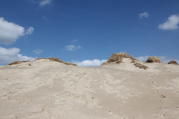 dunes