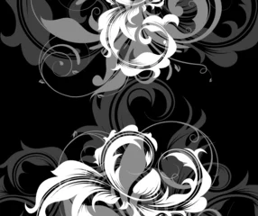 Papier Peint photo Lavable Fleurs noir et blanc F