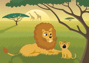 Obraz premium Lions in the Wild