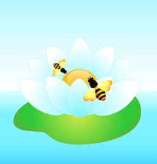 Funny bee and lily