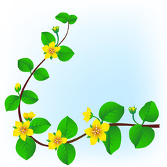 Obraz premium spring blossom