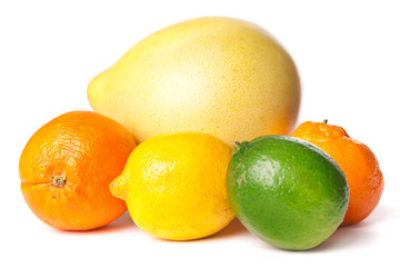 Citrus fruits on a white.