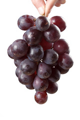 grape