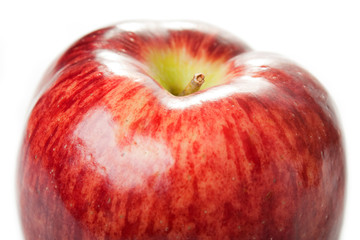 Apple fruit