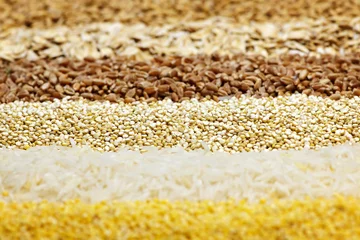  Various grains close up © Elenathewise