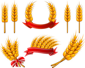 Collection of design elements. Wheat