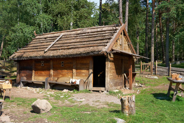 Vikings village