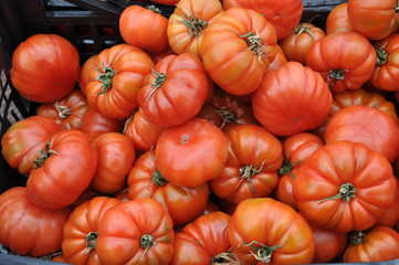 Tomaten