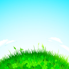 background grass