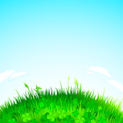 Obraz premium background grass