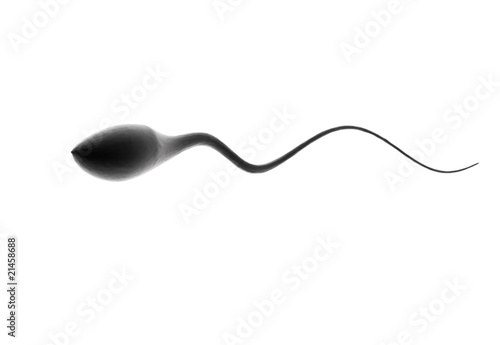 Sperm png
