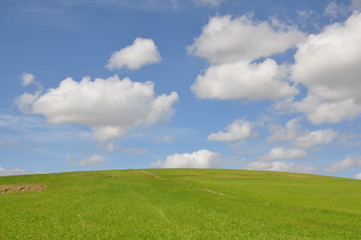 Fototapeta premium verte algerie