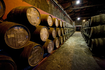 Burmester winery, Porto, Douro Province, Portugal