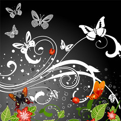 night blooming pattern