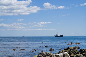 Ship in sea 2