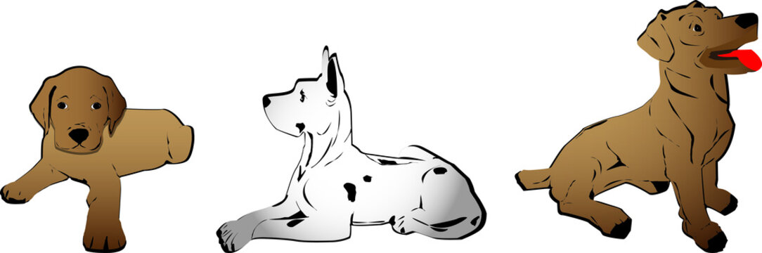 Cani stilizzati