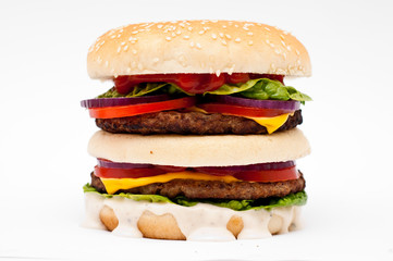 Hamburger isolated