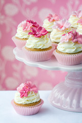 Cupcakes