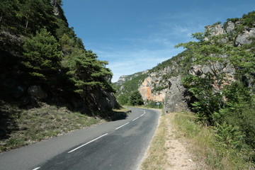 Fototapeta na wymiar Gorges du Tarn,Lozère