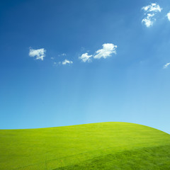 Green grass and blue sky