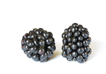 blackberries